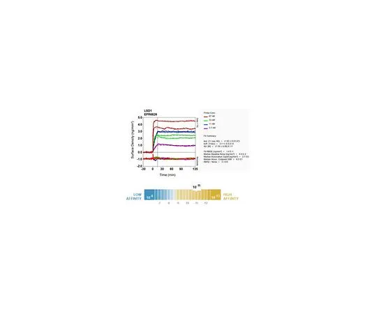 62-8506-70　［Discontinued］Anti-LSD1, clone EPR6826, Rabbit Monoclonal　MABE593