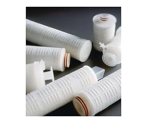 61-0219-76　［Discontinued］Polysep II Cart Filt 10In. 1.0/0.2μm Code F 3/Pk 3 x 1ST　CGW3F1E03