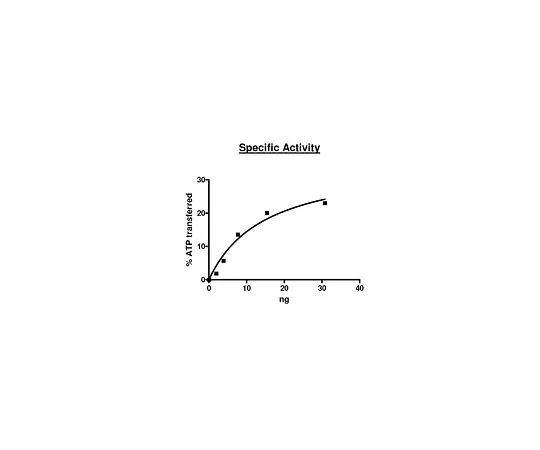 62-8391-49　［Discontinued］CDK1/CyclinB1　14-450M-D