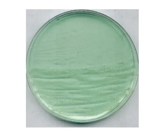 61-0202-16　［Discontinued］Anaerobic Agar Medium (By BREWER) for Surface Culture Of Clostridia And Other Anaerobic Bacteria 105452 500G　1.05452.0500