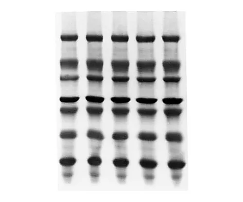 61-0204-61　［Discontinued］Stericup-Hv 0.45μm PVDF 1000/1000mL RS 12/Pk 12PK　SCHVU11RE