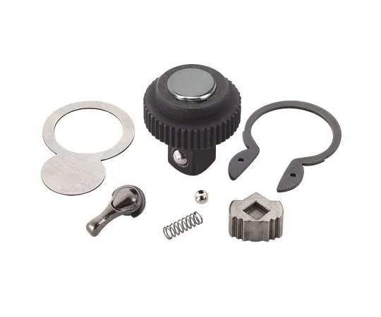 63-6979-35 RS Pro Ratchet Renewal Kit 1/2 in Square 125-3113
