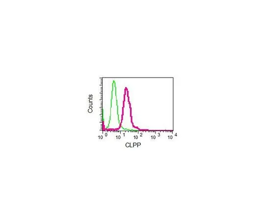 62-8523-24　［Discontinued］Anti-CLPP, clone EPR7133, Rabbit Monoclonal　MABS761