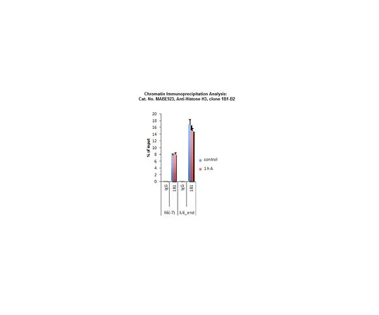 62-8507-59　［Discontinued］Anti-Histone H3, clone 1B1-B2　MABE923