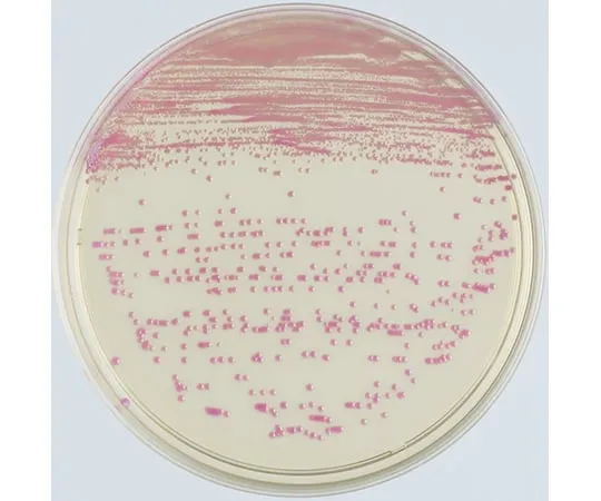 63-6527-44 BD BBL (TM) CHROMagar (TM) MRSA II Agar Medium 20 sheets 252353