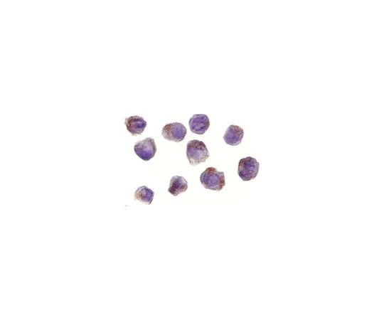 62-8457-70　［Discontinued］Anti-RICK　ABC332