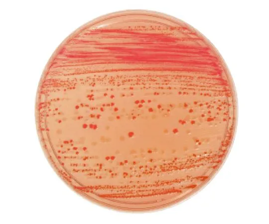 63-6527-04 BD BBL (TM) McConkey II Agar Medium 20 Sheets 251172