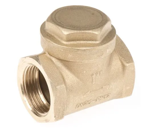 63-6671-15 RS PRO Brass Single Non Return Valve 1 in BSPP 486-205