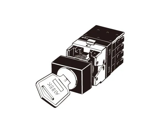 62-4734-38 Key shaped selector switch (separate form) (Round body Φ16) A165K A165K-J3ML-2S