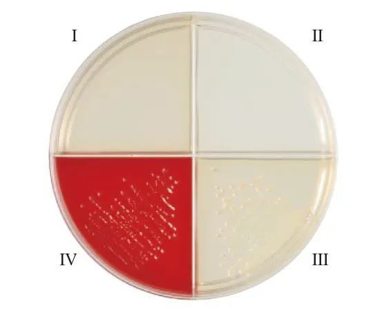 63-6527-71 BD BBL (TM) Haemophilus ID 4 fractionation medium 10 sheets 251142