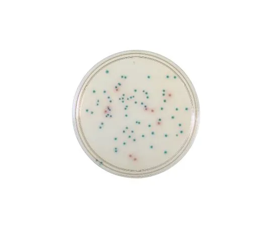 63-6527-67 BD BBL (TM) CHROMagar (TM) Salmonella Agar Medium 100 sheets 251357