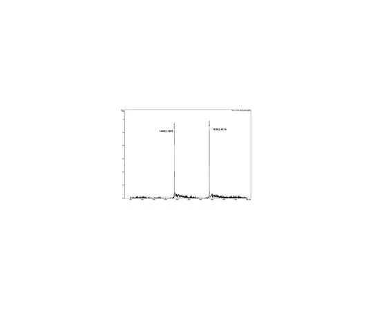 62-8391-84　［Discontinued］Human recombinant Histone H2AX-H2B dimers　14-1055