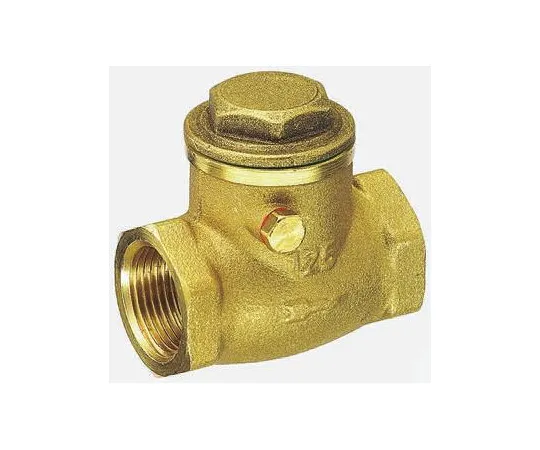 63-6671-10 RS PRO Brass Single Non Return Valve 2 in BSPP 486-182