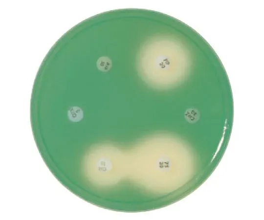 63-6527-33 BD BBL (TM) Mueller Hinton II Agar Medium 20 Sheets 251177