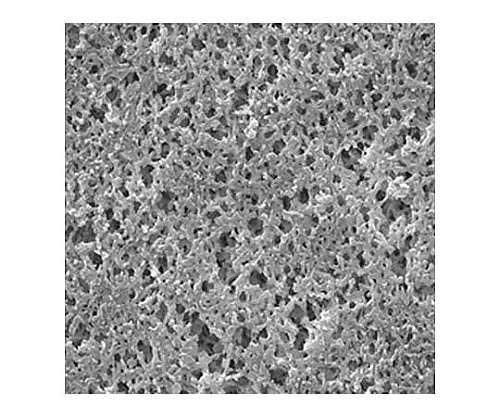 61-0196-30　［Discontinued］Nylon Membrane, Hydrophilic, 0.8 μm, 25 Mm, White, Plain; 100/Pk 100PK　ANWP02500