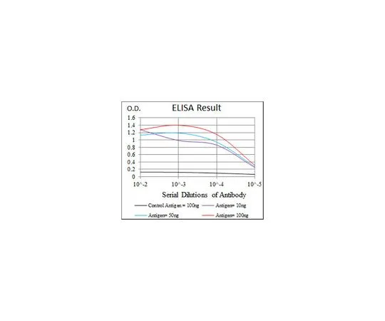 62-8502-90　［Discontinued］Anti-HAS3, clone 3C9　MABC703