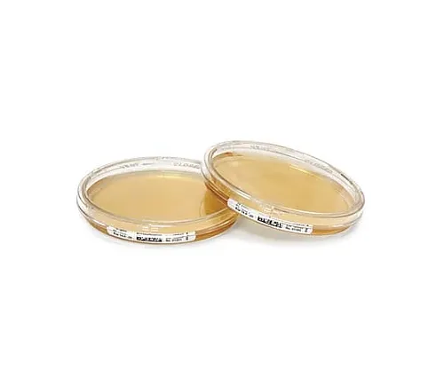 61-0193-35　［Discontinued］Chocolate Agar+Lth-Icr+ 146686 20PACK　1.46686.0020