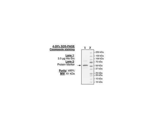 62-8391-37　［Discontinued］SRC　14-326-D