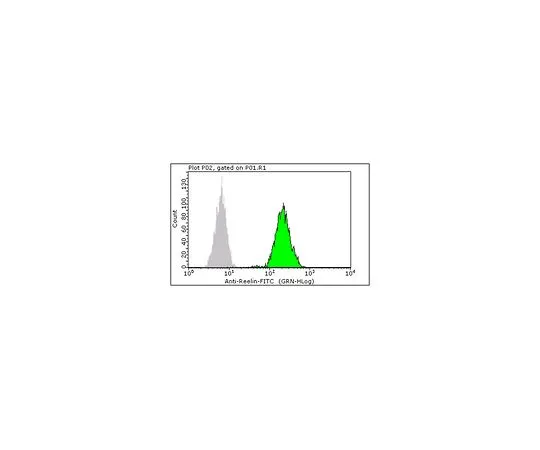 62-8485-20　［Discontinued］Milli-Mark(R) Anti-Reelin-FITC, a.a. 164-496 Antibody, clone G10 FCMAB341F　FCMAB341F