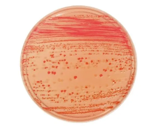 63-6527-16 BD BBL (TM) Sorbitol-Added McConkey II Agar Medium 20 Sheets 251147