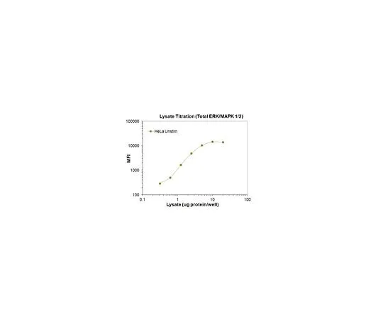 62-8538-18　［Discontinued］MILLIPLEX MAP Total Erk/MAPK 1/2 Magnetic Bead MAPmate　46-609MAG