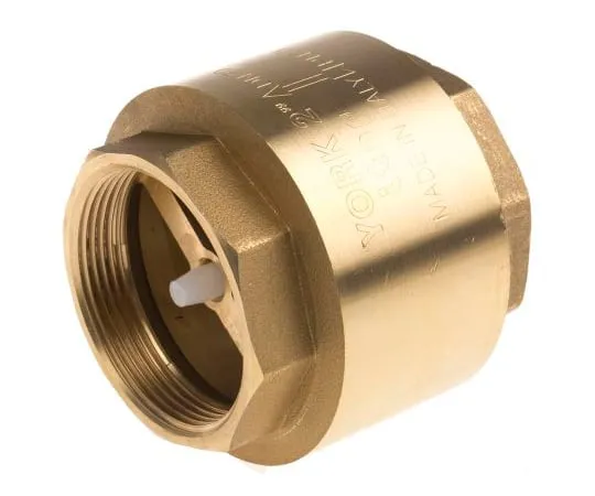 63-6671-23 RS PRO Brass Single Non Return Valve 2 in BSPP 486-233