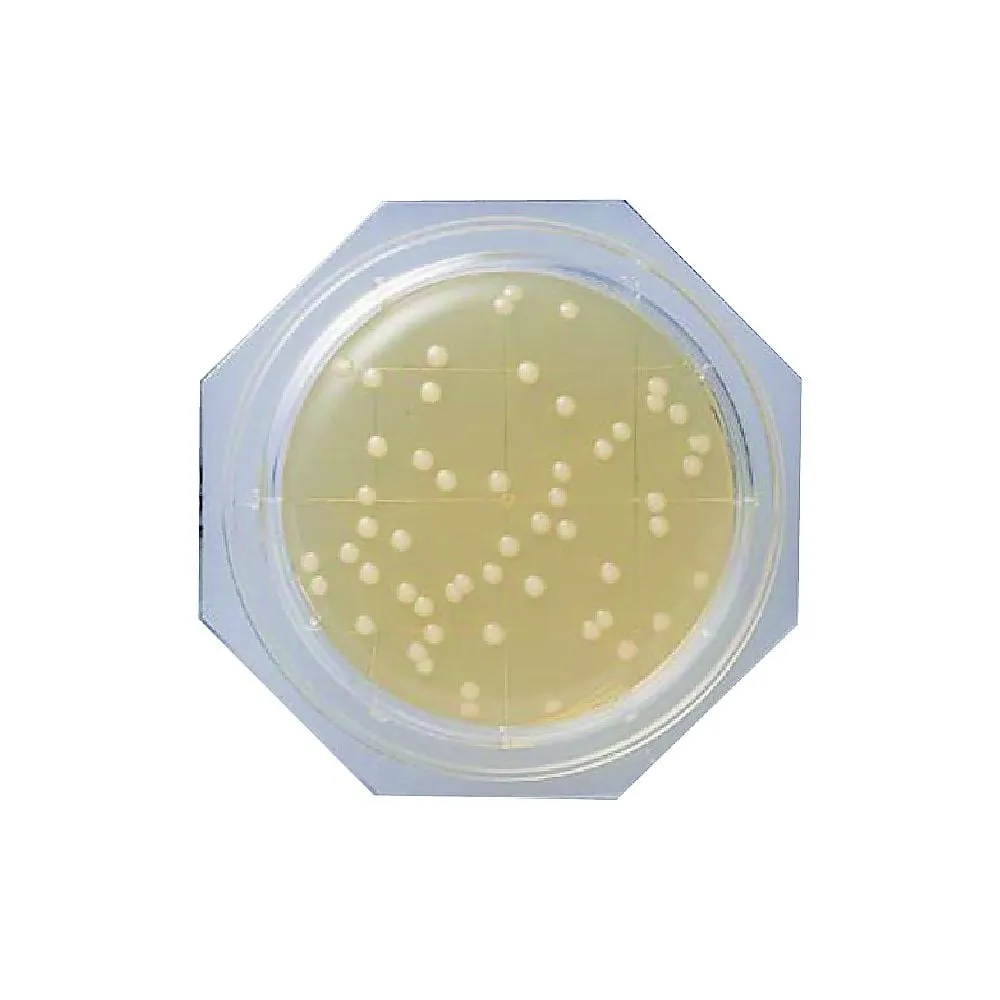 66-0021-91 Clean Stamp ®10 SCD Agar Medium 1 Box (30 Sheets) 06785