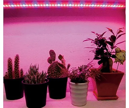 2-1410-01 Plant Cultivation LED Light LED for Supplemental Lighting