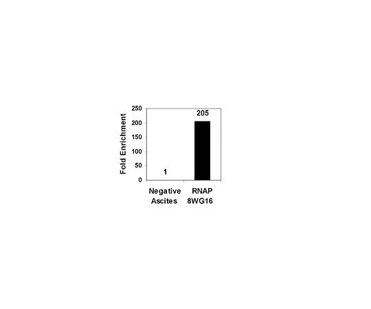 62-8393-77　［Discontinued］ChIPAb+ RNA Pol II; 25 assays　17-672