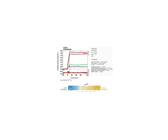 62-8503-18　［Discontinued］Anti-Aconitase, clone EPR8283(B), Rabbit Monoclonal　MABC764