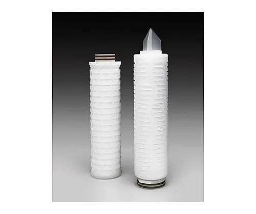 61-0219-45　［Discontinued］Fortis SL Cartridge Filter 0.2μm 10In. Code 7 EPDM, 6/Pk 6 x 1ST　CFGB71E06