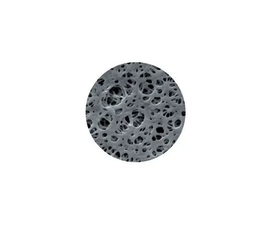64-3317-84 Membrane Disk Diameter Φ142 mm PES 0.22 μm 1 Box (25 Pieces) 1214169