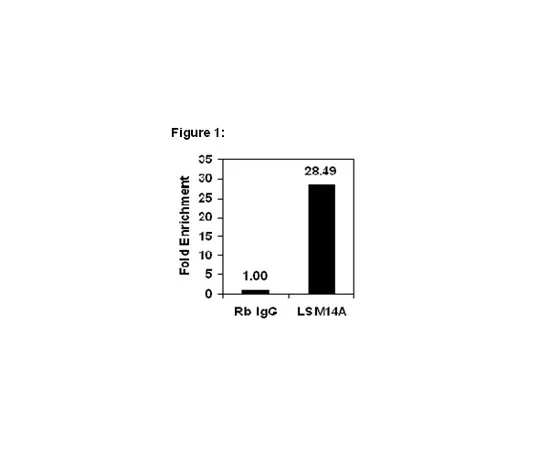 62-8367-54　［Discontinued］RIPAb+(TM) LSM14A; 10 assays　03-184