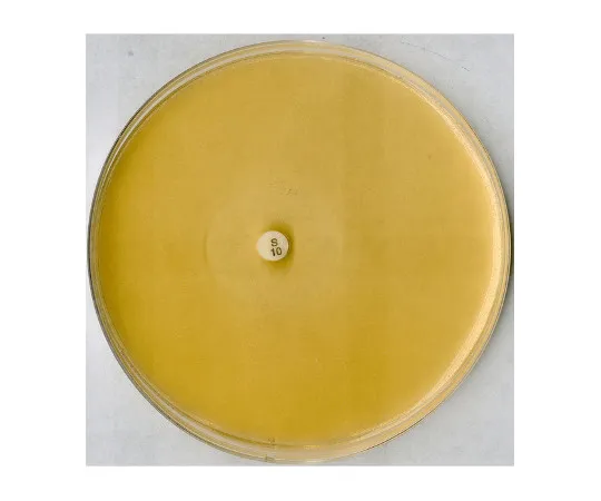 61-0203-43　［Discontinued］Antibiotic Agar No. 5 for Microbiology 105271 500G　1.05271.0500