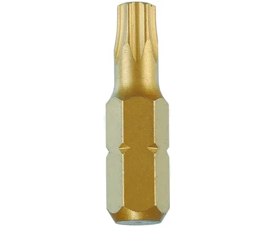 63-6970-54 RS Pro Driver Bit 10 pieces, TX10 125-0361