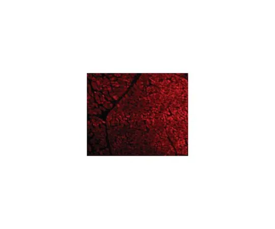 62-8464-81　［Discontinued］Anti-Tirap　ABF211