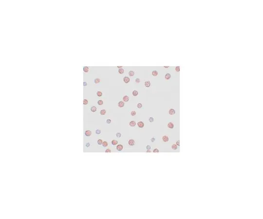 62-8470-07　［Discontinued］Anti-PLAC3　ABS444