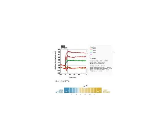62-8512-60　［Discontinued］Anti-CD55, clone EPR6689, Rabbit Monoclonal　MABF763