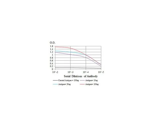 62-8506-99　［Discontinued］Anti-CEBPA, clone 4E10 Antibody　MABE631