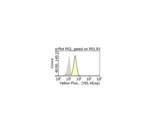 62-8525-88　［Discontinued］Anti-Syndecan-1 Antibody, clone 11G2.1　MABT177