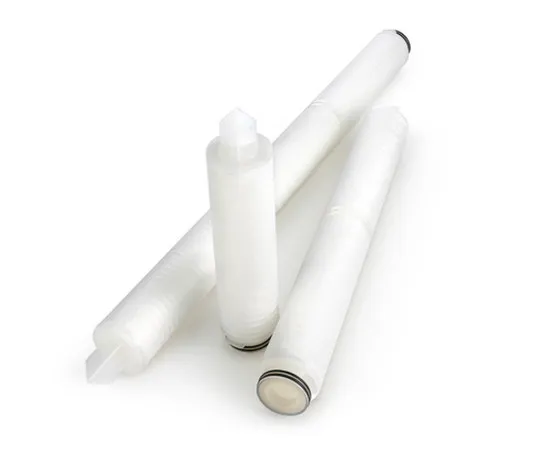 61-0227-06　［Discontinued］Solvex(TM) 0.2μm Solvent 10" Filter EP 1ST　CSGB71E06