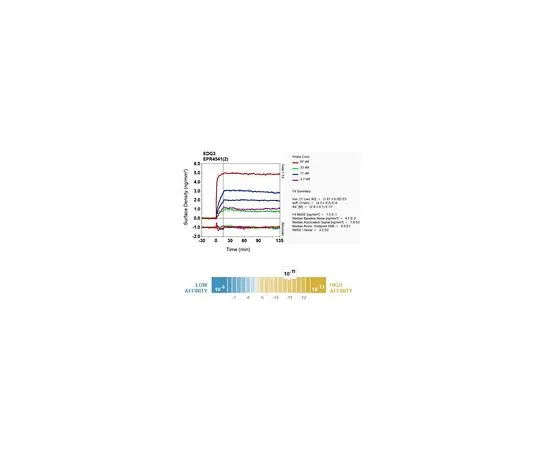 62-8523-32　［Discontinued］Anti-EDG3, clone EPR4541(2), Rabbit Monoclonal　MABS769