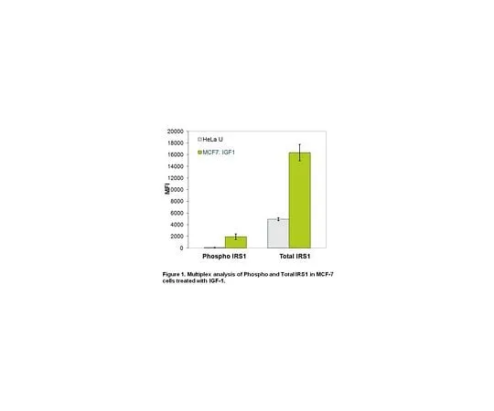 62-8538-65　［Discontinued］MILLIPLEX MAP 2-Plex Phos/Total IRS1 Mag Kit　48-626MAG