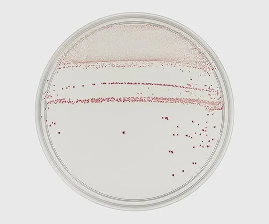 63-6526-85 BD (TM) mCCDA Clear HT Agar Medium 252794