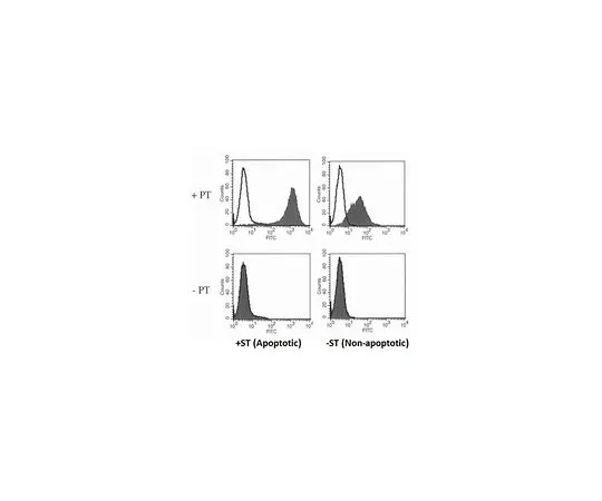 62-8509-58　［Discontinued］Anti-Prothrombin Antibody, clone 29J3-62.2.2　MABF285