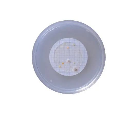 63-6526-55 BD BBL (TM) R2A Agar Medium 20 Sheets 251258