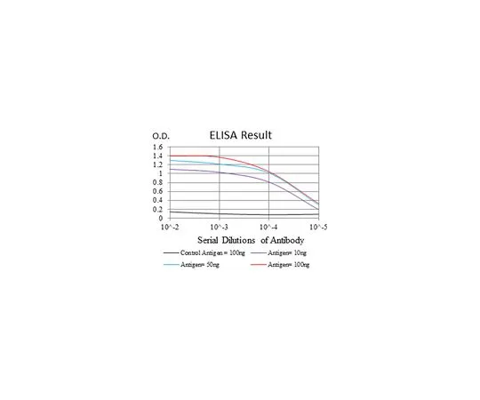 62-8523-64　［Discontinued］Anti-ROCK1, clone 1H4 Antibody　MABS811