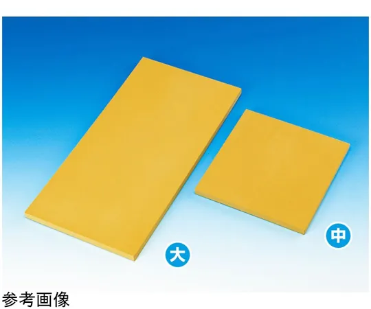 67-8065-47 Cutboard (For Histopathology) Large 500 x 250 x 15 mm K-1