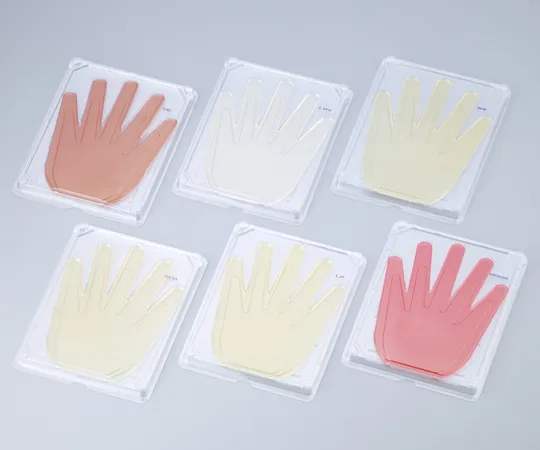 6-8767-05　［Discontinued］Palm Check Coliform Bacteria Desoxucholate　PL4401A020