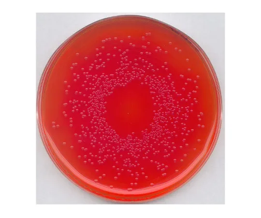61-0200-04　［Discontinued］BPLS Agar Medium for Separation Of Salmonella 107237 500G　1.07237.0500